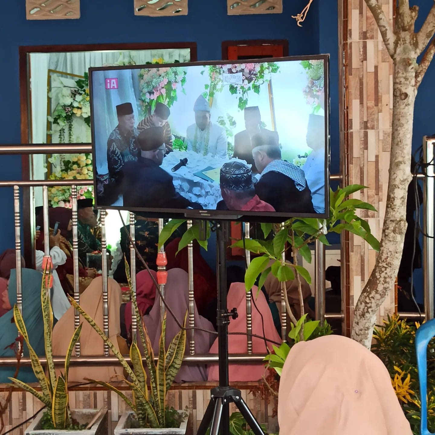 Sewa TV Solo